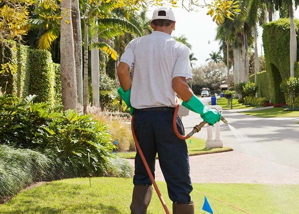 About Beloit KS Pest Control